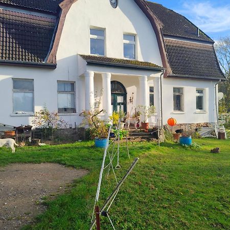 Gutshaus Im Gruenen Leilighet Poseritz Eksteriør bilde